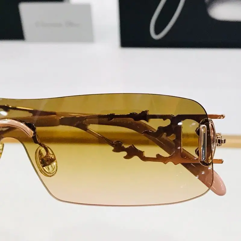 Dior Glasses smh (21)